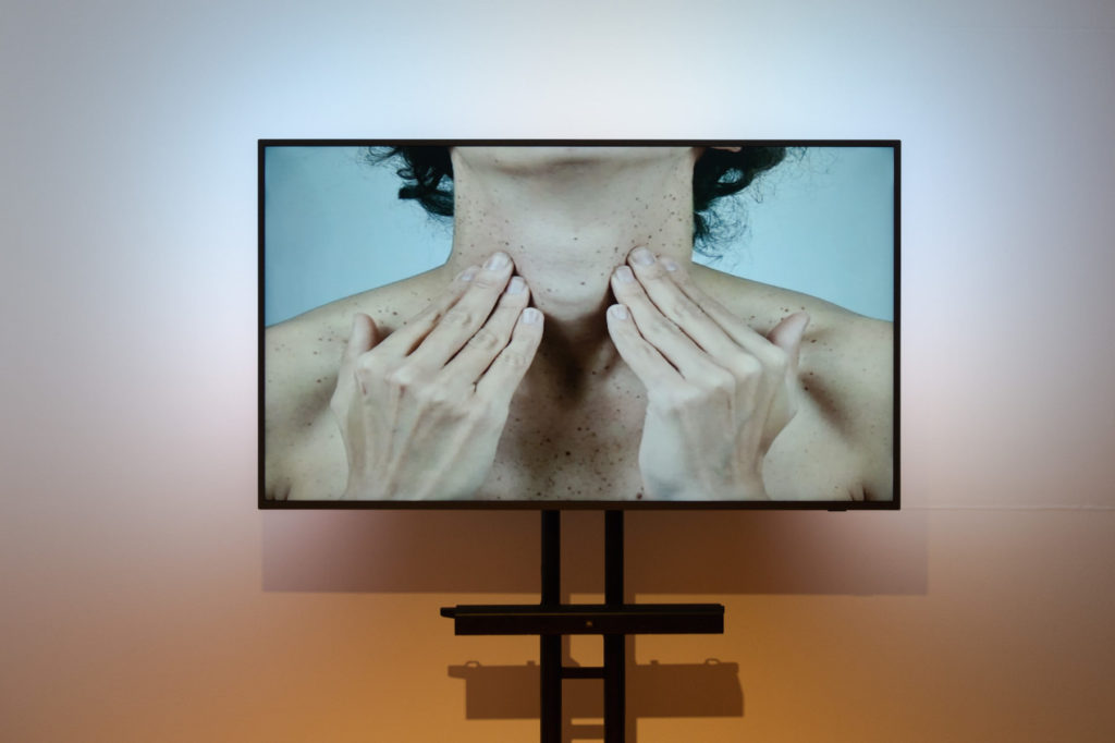 Sensorial Trail