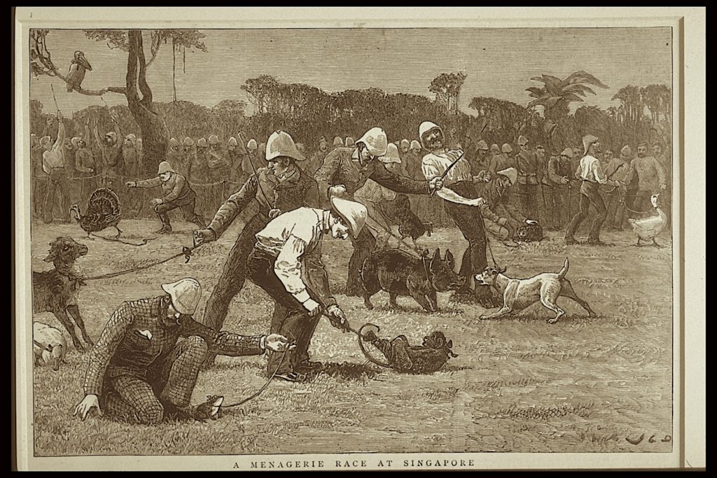 3.7 – Menagerie Race
