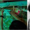 Attempts: Singapore