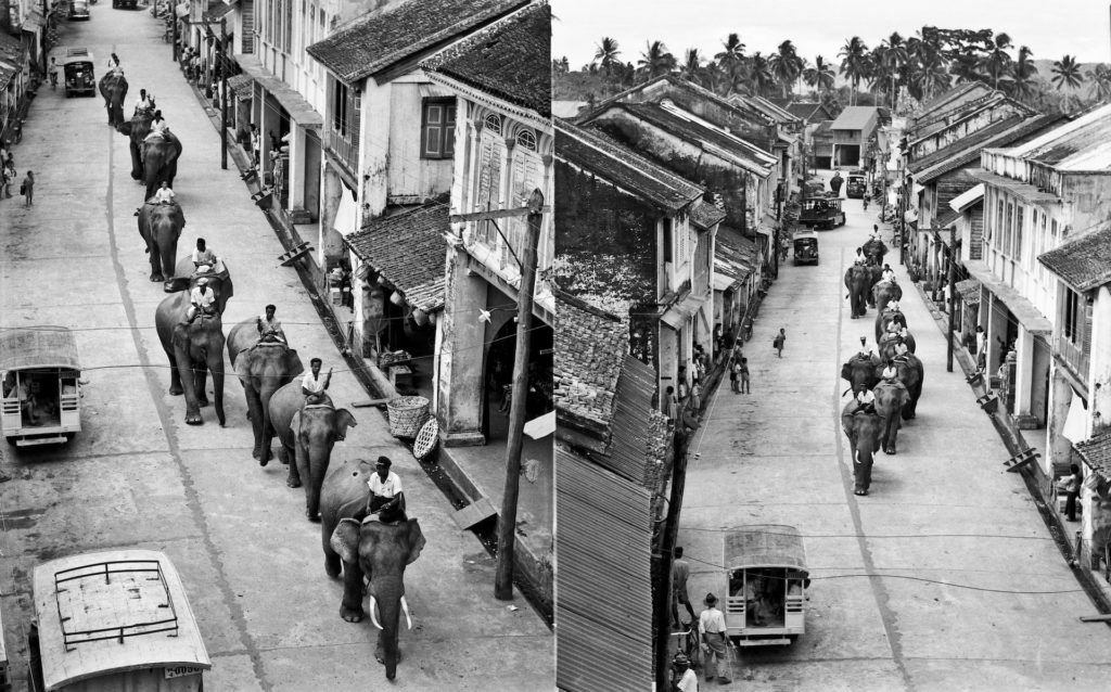 Saengjun_An elephant procession, Phang Nga copy
